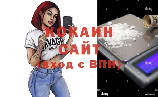 2c-b Бородино