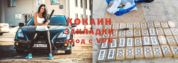 2c-b Бородино