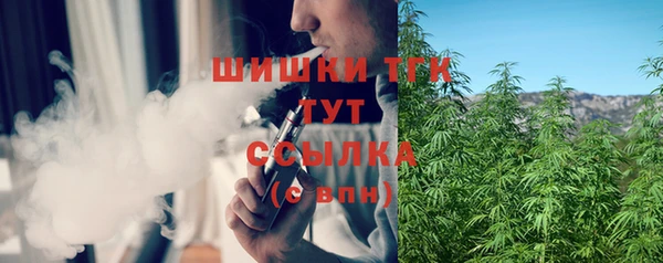 2c-b Бородино