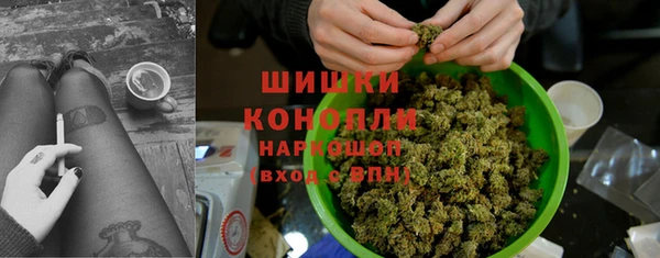 2c-b Бородино